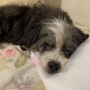 Meet your Posher, Rosario